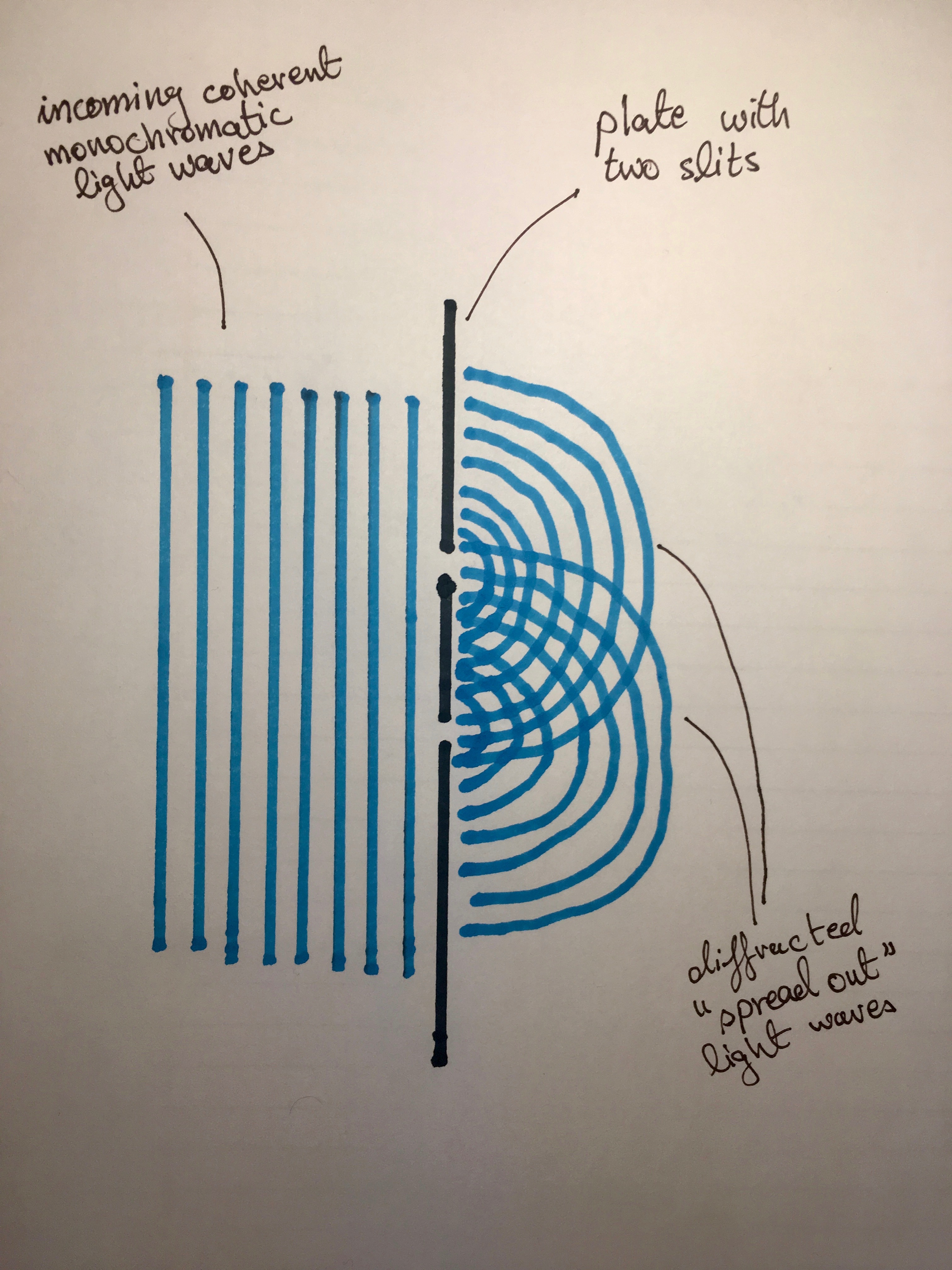 which wave diffracts more light or sound